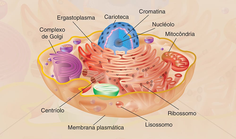 Ilustração técnica, mapa ou infográfico produzido pela Técnica Comunicação e Arte — peça 1