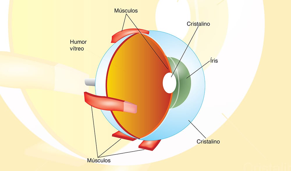 Ilustração técnica, mapa ou infográfico produzido pela Técnica Comunicação e Arte — peça 16