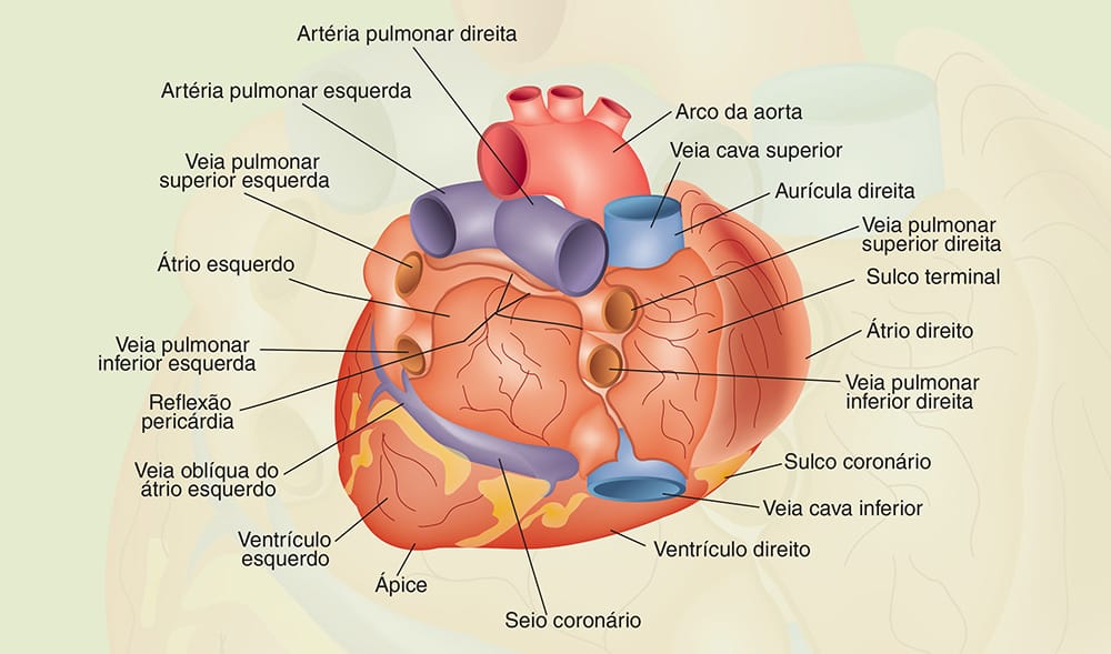 Ilustração técnica, mapa ou infográfico produzido pela Técnica Comunicação e Arte — peça 5