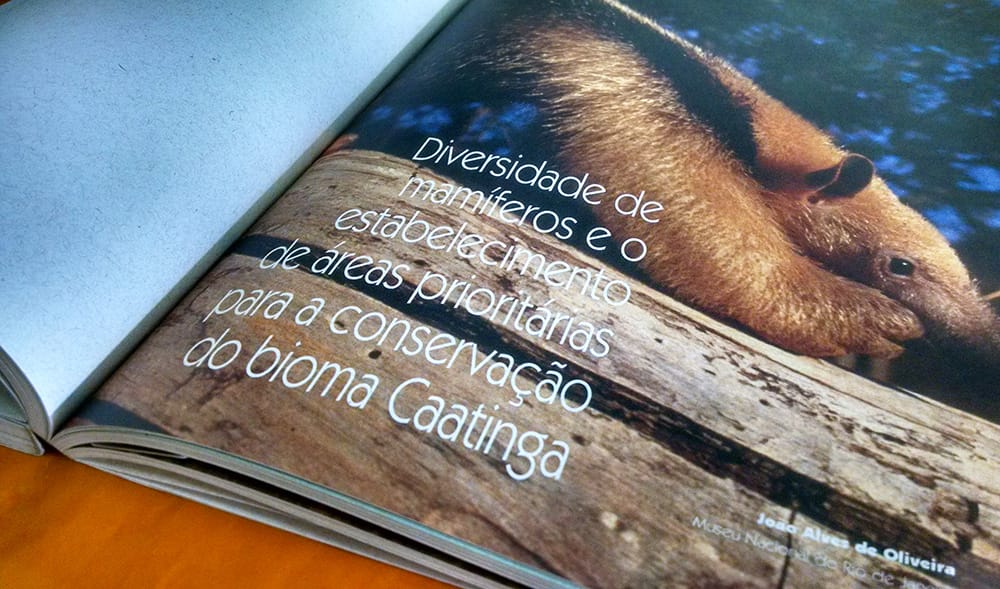 Projeto gráfico criado pela Técnica Comunicação e Arte — peça 21